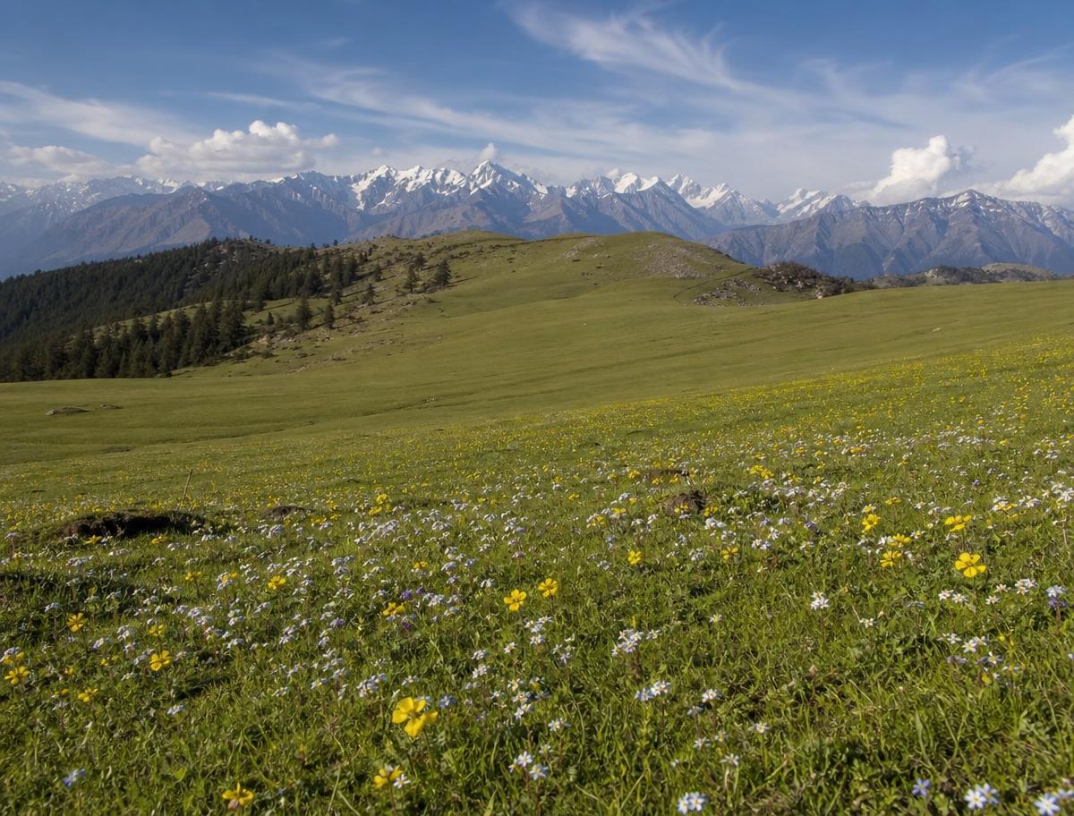 Dayara Bugyal